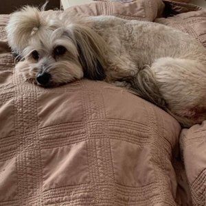 Meet your Posher, AJ